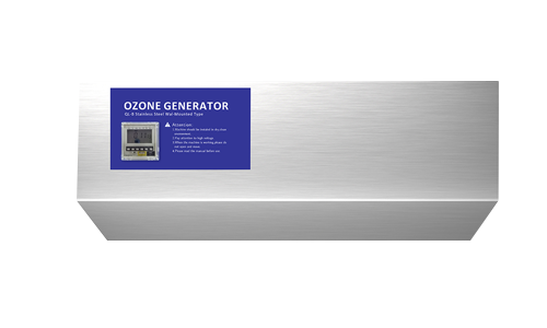 Wall mounted ozone generator 10G