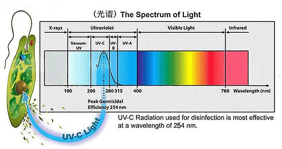 UV-ultraviolet-germicidal-lamp_02