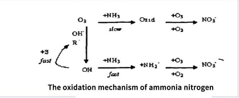 Ozone for aquaculture water