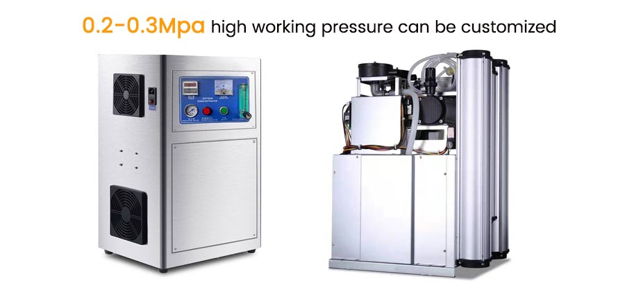10 SLPM Oxygen generator machine 138 kPa 20 PSIG