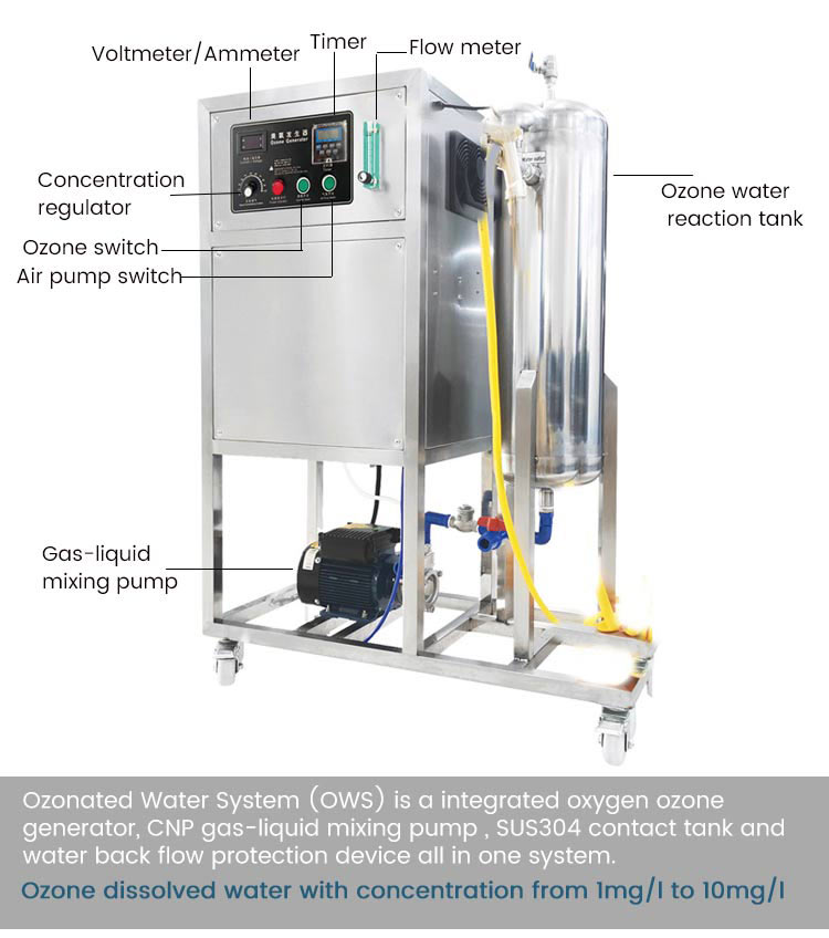 Ozone-generator-system