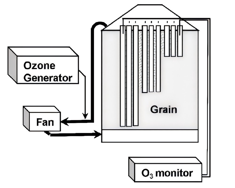 Efficacy of Ozone Fumigation Against the Major Grain Pests in  Stored Wheat