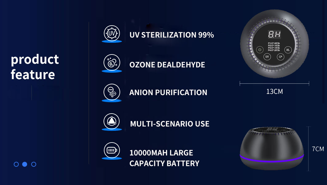 Mobile portable ozone purification